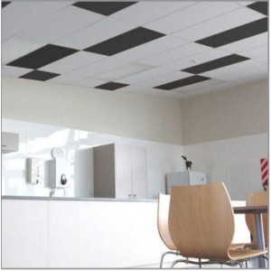 Acoustic Ceiling Solutions
