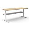 Boost Halo+ Dual Motor Electric Height Adjustable Desk