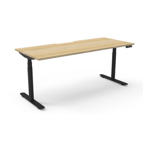 Boost Halo+ Dual Motor Electric Height Adjustable Desk