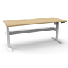 Boost Light Single Motor Electric Height Adjustable Desk