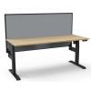 Boost Light Single Motor Electric Height Adjustable Desk