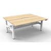 Boost Plus+ Back to Back Height Adjustable Workstations