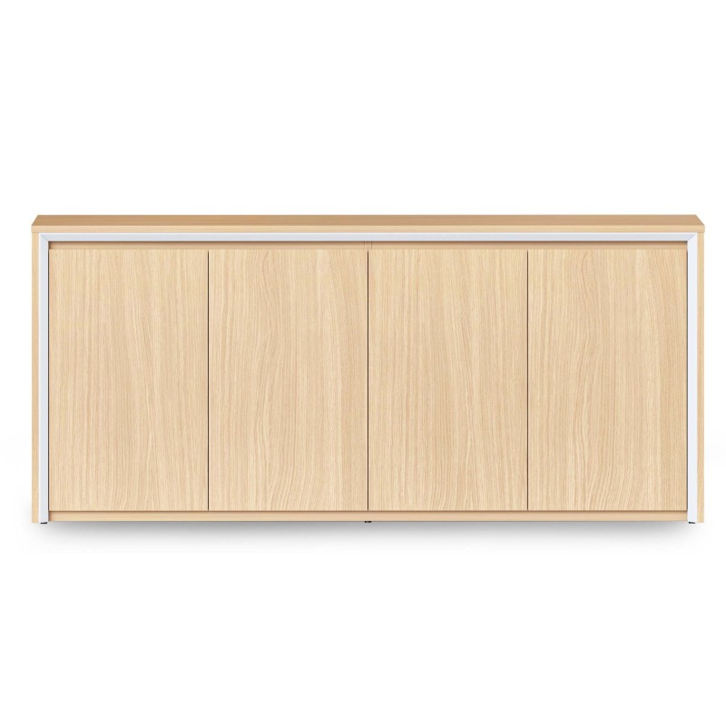 Casa Swing Door Cupboard