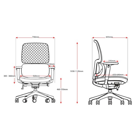 Orca Mesh Back Executive Chair  