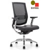 Focus Chair -  Medium Mesh Back