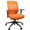 Vogue Executive Chair -  Nylon Base Mid Back Mesh Ergonomic 
