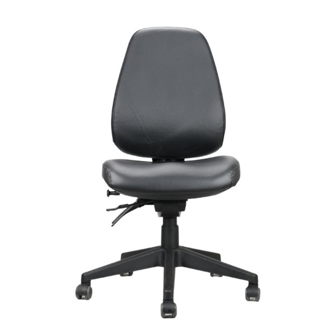 Endeavour Pro Ergo Chair 160KG Weight Rated With Optional Arms
