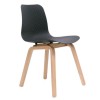 Lucid Visitor Chair with Timber Base