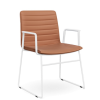Nikola Chair Sled Base + Arms  CHOICE OF COLOURS