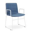 Nikola Chair Sled Base + Arms  CHOICE OF COLOURS