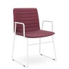 Nikola Chair Sled Base + Arms  CHOICE OF COLOURS