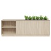Bea Credenza