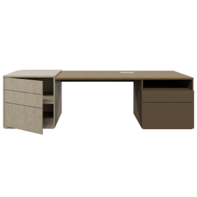 Danni Executive Desk
