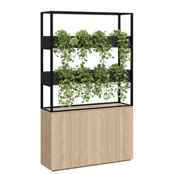 Cafe Vertical Garden