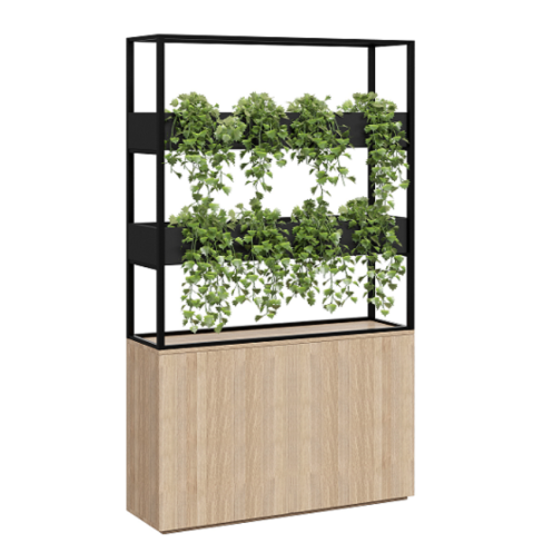 Cafe Vertical Garden