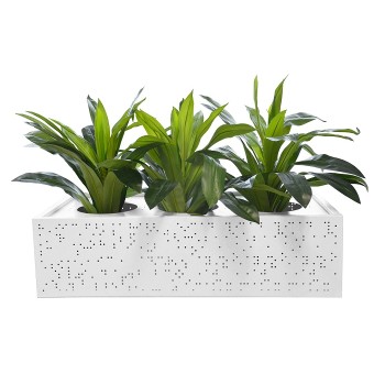 Lunar Metal Planter Box - 3 Hole