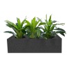 Lunar Metal Planter Box - 3 Hole