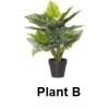 Breezeway Vertical Garden