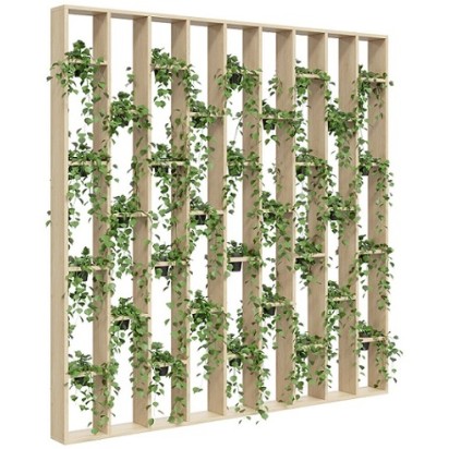 Vertical Garden Wall