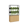 Cafe Vertical Garden
