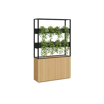 Cafe Vertical Garden