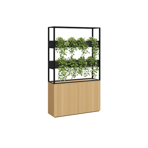 Cafe Vertical Garden