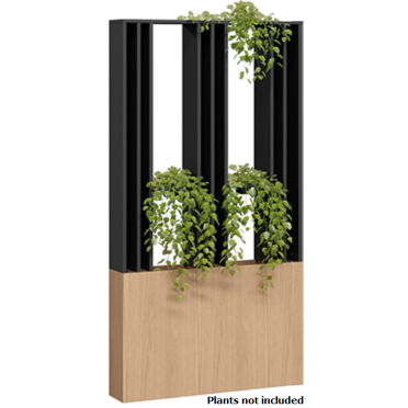 Corridor Vertical Garden
