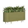 Baye Planter