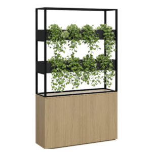 Vertical Gardens