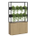 Vertical Gardens