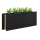 Planter Boxes