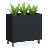 Garden Box on Castors Room Divider