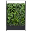 Lush Garden Divider Wall