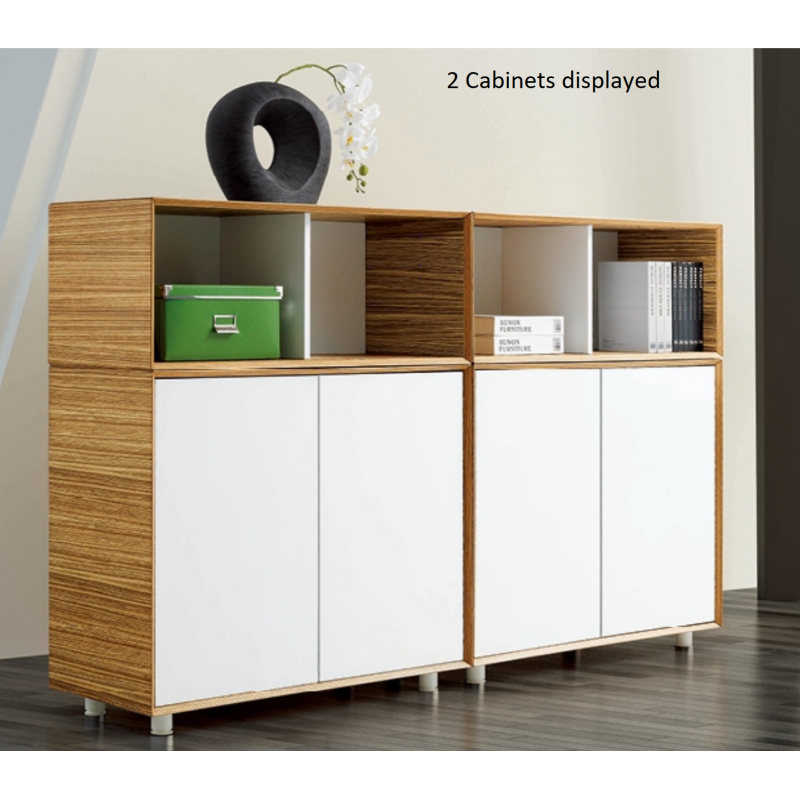 Evolution Cabinet 