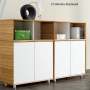 Evolution Cabinet 