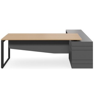 Geo Forum Executive Desk