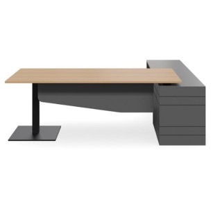 Geo Scope Executive Desk