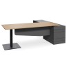 Geo Scope Executive Desk