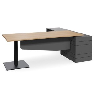 Geo Scope Executive Desk