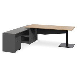 Geo Scope Executive Desk