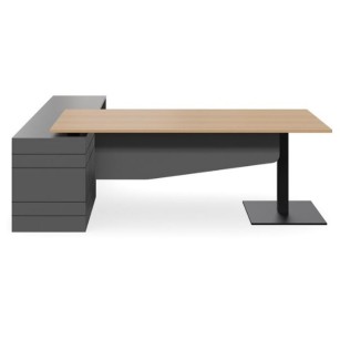 Geo Scope Executive Desk