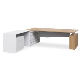 Geo Executive Desk - 101 Selectric Height Adjustable