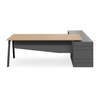 Geo Vista Executive Desk