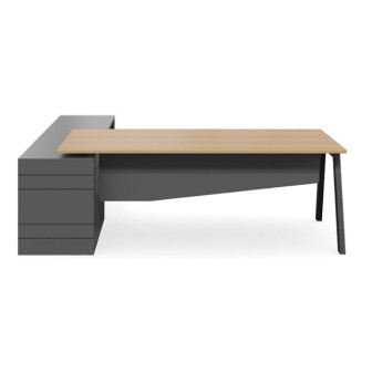 Geo Vista Executive Desk