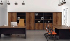 OM  Premium Range Walnut/Graphite