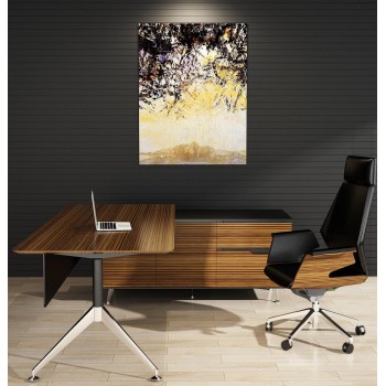 Novara Executive Desk in Zebrano Wood Veneer with Cabinet Return