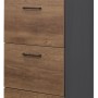 Filing Cabinet - 4 Drawer Walnut and Graphite