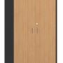 Cupboard Full Doors Lockable in Beech and Graphite