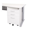 Rapid Span Mobile Pedestal